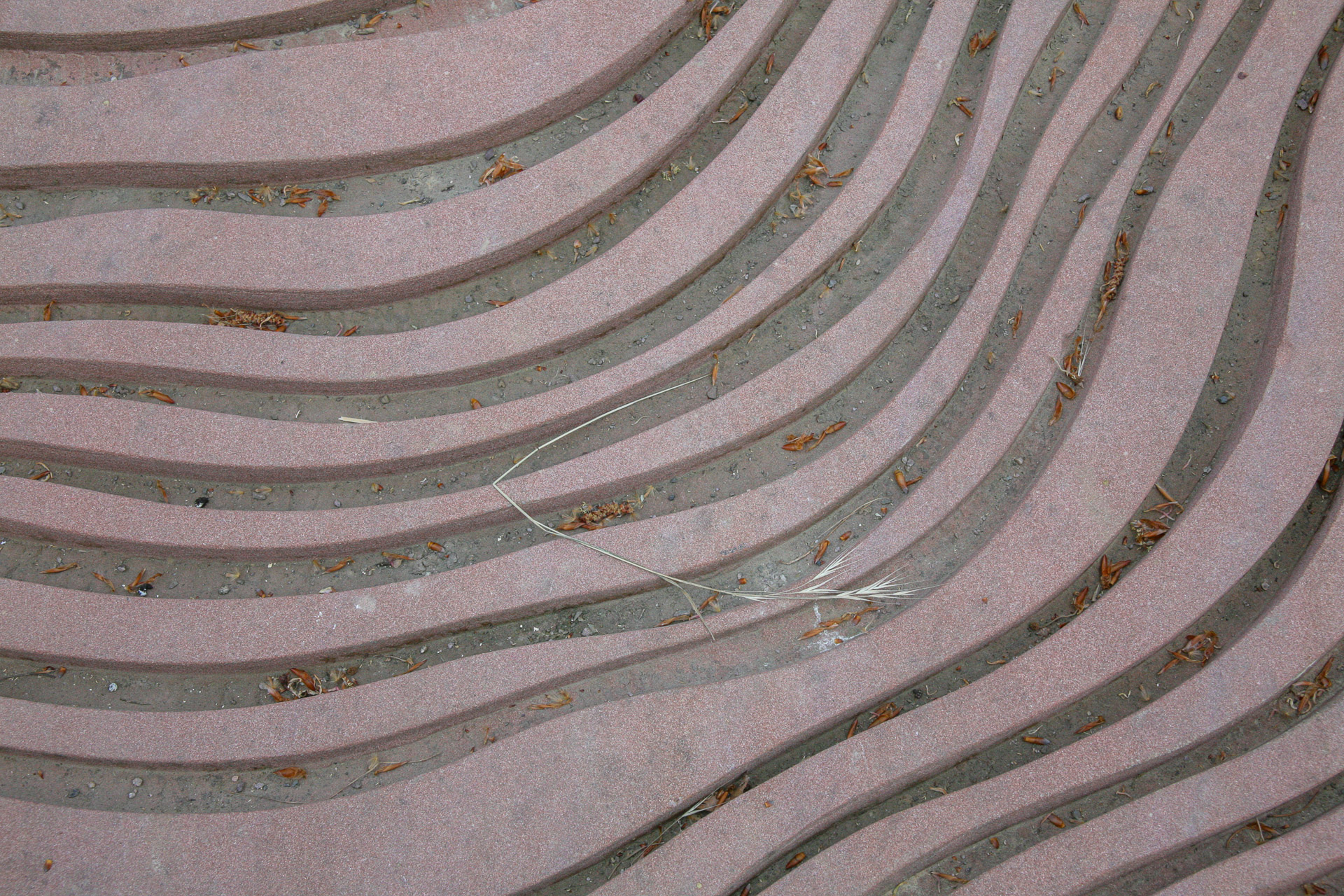 20070429102804 IMG 5419